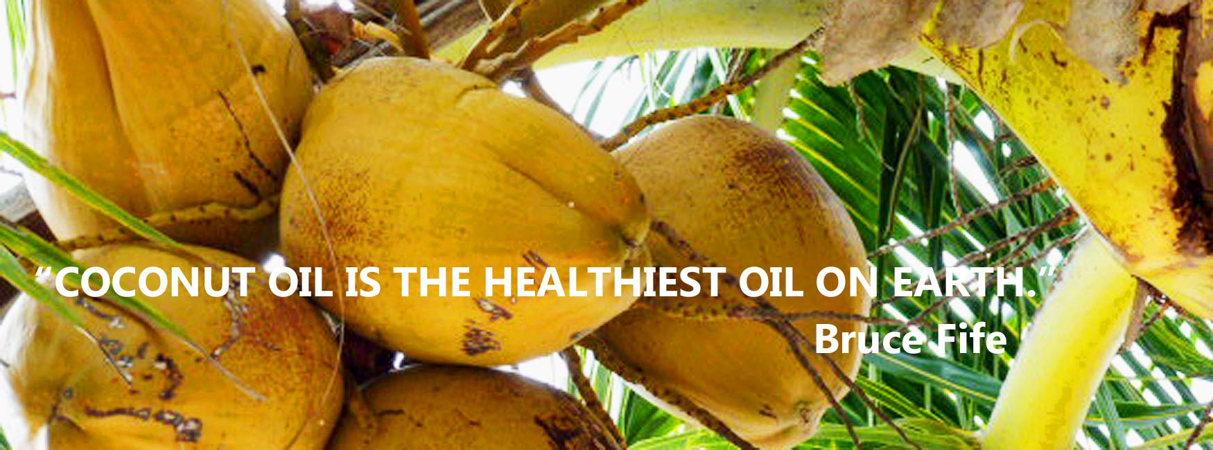 Coconut oil is one of the true gifts of nature.