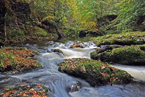 Stress can make us sick. It might be time to take in some "healing" surroundings.