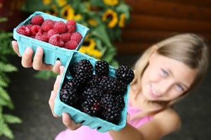 It is important to buy "Organic" when selecting fruit for your family.