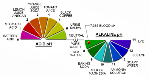 The pH scale is very simple...it is 0 - 14, with 0 - 7 being the acid side and 7 - 14 the alkaline or base scale.