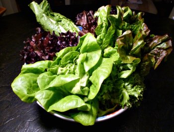 Salad greens make our diets rich in antioxidants and phytochemicals which protect our body from free radicals.